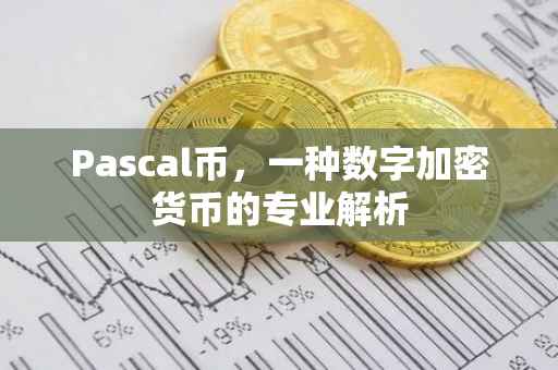 Pascal币,一种数字加密货币的专业解析