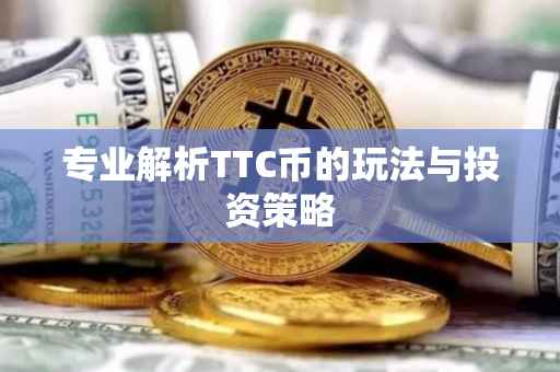 专业解析TTC币的玩法与投资策略