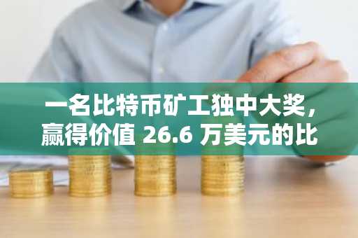 一名比特币矿工独中大奖，赢得价值 26.6 万美元的比特币奖励