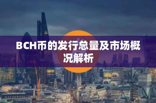BCH币的发行总量及市场概况解析