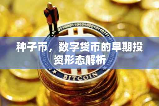 种子币，数字货币的早期投资形态解析