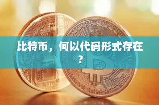 比特币，何以代码形式存在？