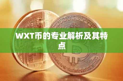 WXT币的专业解析及其特点