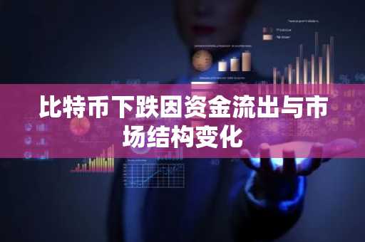 比特币下跌因资金流出与市场结构变化