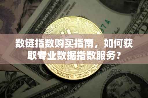 数链指数购买指南，如何获取专业数据指数服务？
