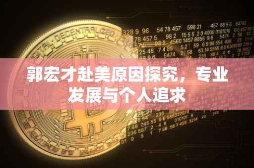 郭宏才赴美原因探究,专业发展与个人追求