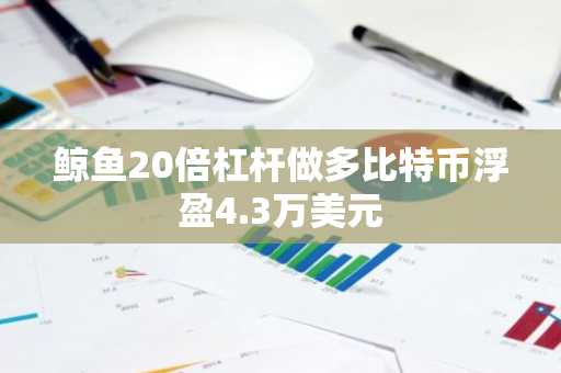 鲸鱼20倍杠杆做多比特币浮盈4.3万美元