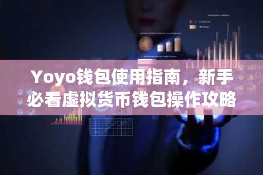Yoyo钱包使用指南，新手必看虚拟货币钱包操作攻略