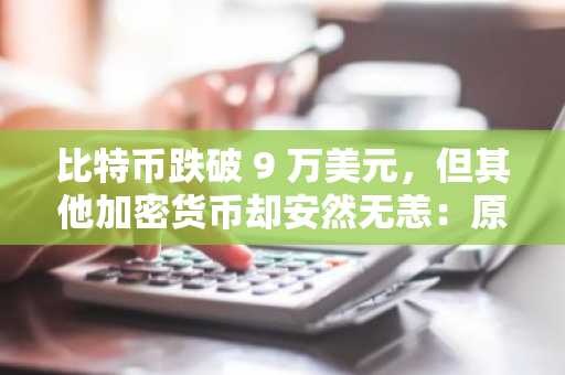 比特币跌破 9 万美元,但其他加密货币却安然无恙:原因何在?
