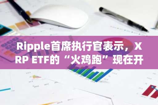 Ripple首席执行官表示,XRP ETF的“火鸡跑”现在开始。
