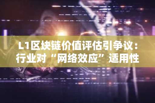 L1区块链价值评估引争议:行业对“网络效应”适用性意见不一