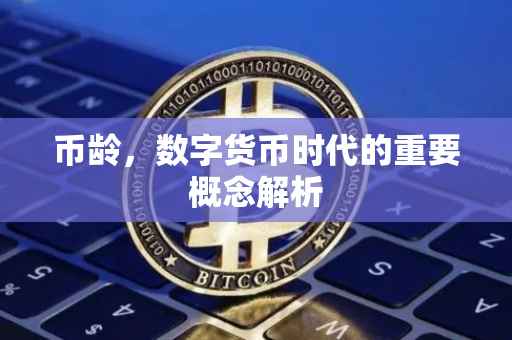 币龄,数字货币时代的重要概念解析