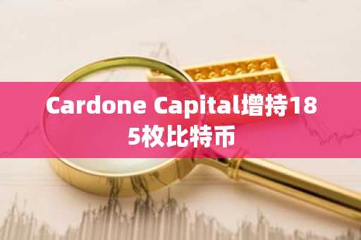 Cardone Capital增持185枚比特币