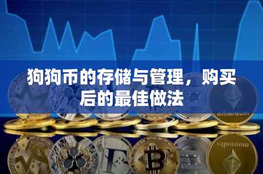 狗狗币的存储与管理，购买后的最佳做法