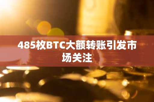 485枚BTC大额转账引发市场关注