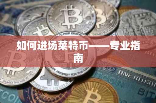 如何进场莱特币——专业指南