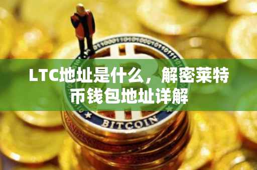 LTC地址是什么,解密莱特币钱包地址详解