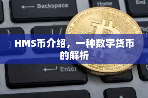 HMS币介绍,一种数字货币的解析