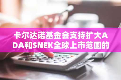 卡尔达诺基金会支持扩大ADA和SNEK全球上市范围的提案