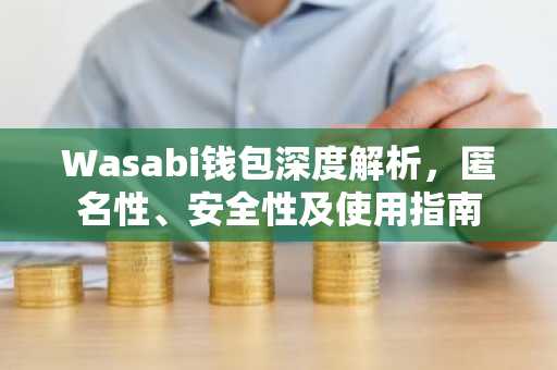 Wasabi钱包深度解析，匿名性、安全性及使用指南