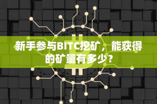 新手参与BITC挖矿，能获得的矿量有多少？