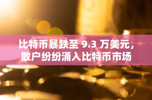 比特币暴跌至 9.3 万美元,散户纷纷涌入比特币市场