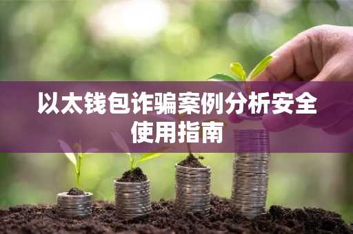 以太钱包诈骗案例分析安全使用指南