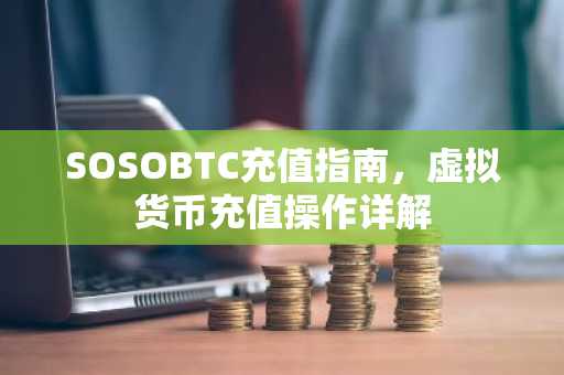 SOSOBTC充值指南，虚拟货币充值操作详解