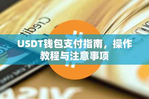 USDT钱包支付指南，操作教程与注意事项