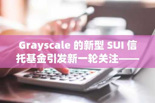 Grayscale 的新型 SUI 信托基金引发新一轮关注——接下来会迎来数百个百分点的涨幅吗?