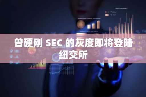 曾硬刚 SEC 的灰度即将登陆纽交所