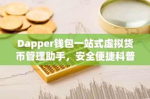 Dapper钱包一站式虚拟货币管理助手，安全便捷科普指南