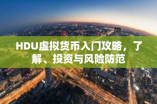 HDU虚拟货币入门攻略,了解、投资与风险防范