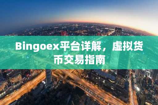 Bingoex平台详解，虚拟货币交易指南