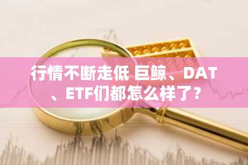 行情不断走低 巨鲸、DAT、ETF们都怎么样了？