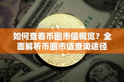 如何查看币圈市值概览?全面解析币圈市值查询途径
