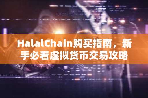 HalalChain购买指南，新手必看虚拟货币交易攻略