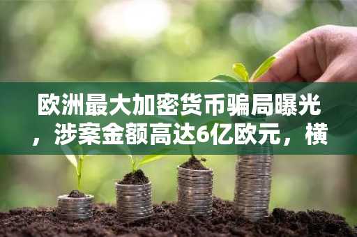 欧洲最大加密货币骗局曝光，涉案金额高达6亿欧元，横跨五个国家。