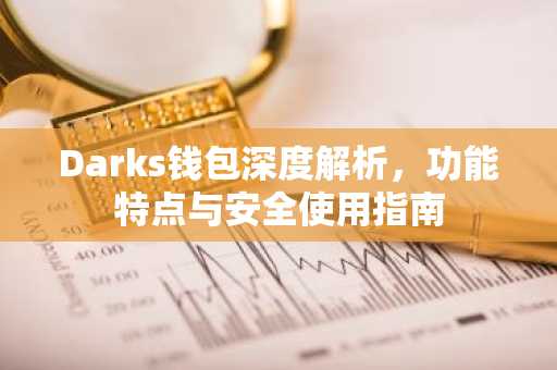 Darks钱包深度解析，功能特点与安全使用指南
