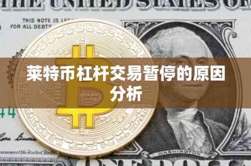 莱特币杠杆交易暂停的原因分析