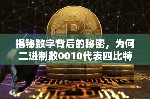 揭秘数字背后的秘密，为何二进制数0010代表四比特