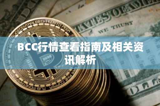 BCC行情查看指南及相关资讯解析