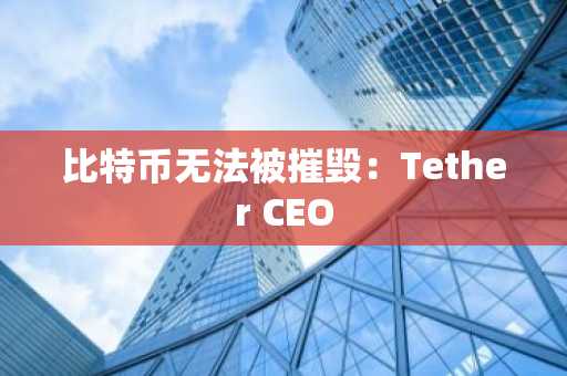 比特币无法被摧毁:Tether CEO