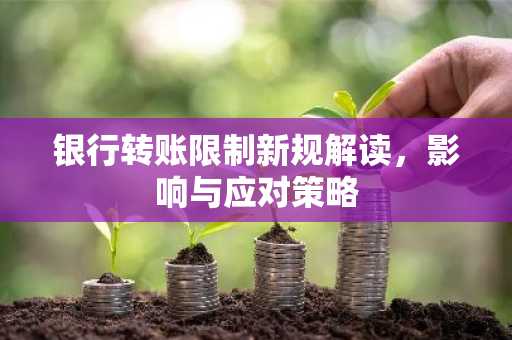 银行转账限制新规解读,影响与应对策略