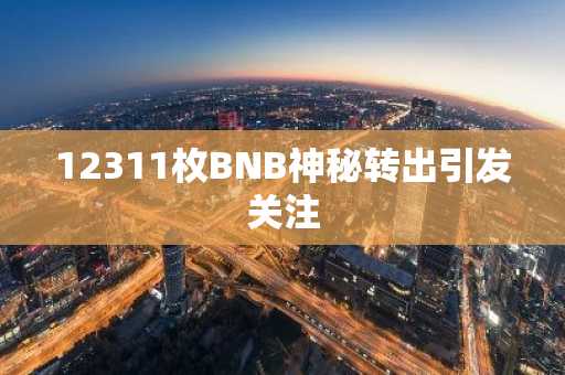 12311枚BNB神秘转出引发关注