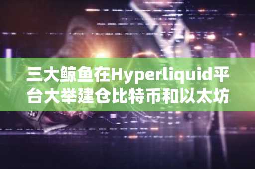 三大鲸鱼在Hyperliquid平台大举建仓比特币和以太坊