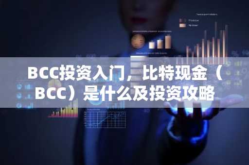 BCC投资入门,比特现金(BCC)是什么及投资攻略