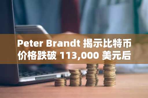 Peter Brandt 揭示比特币价格跌破 113,000 美元后的可能性