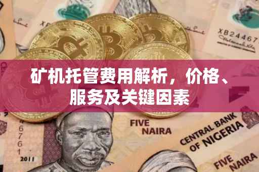 矿机托管费用解析，价格、服务及关键因素