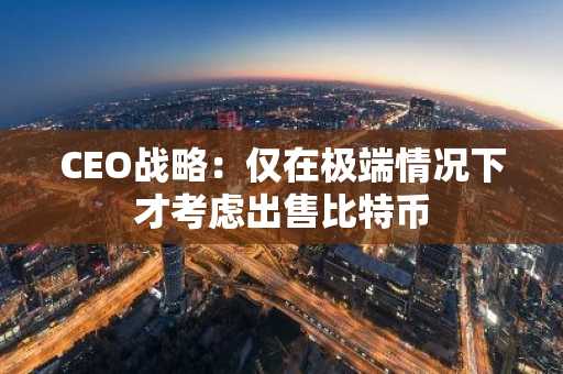CEO战略：仅在极端情况下才考虑出售比特币